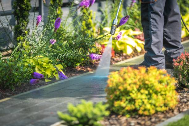 Best Driveway Pressure Washing  in Chapel Hill, NC